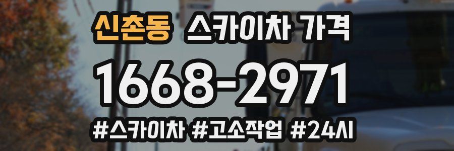 신촌동 스카이차 가격