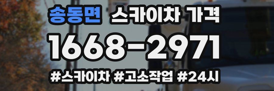 송동면 스카이차 가격