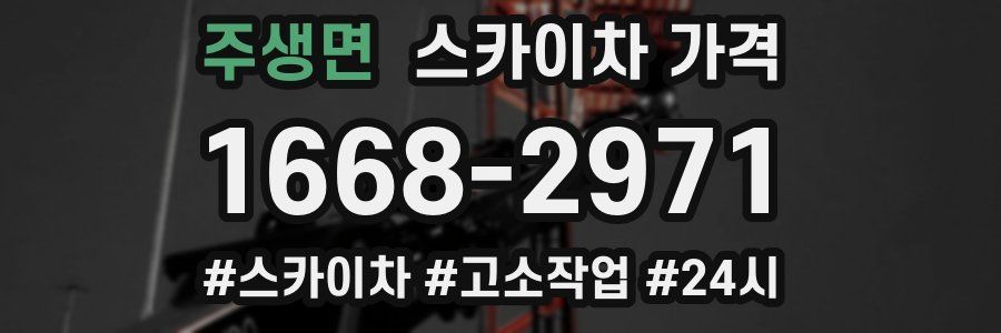 주생면 스카이차 가격