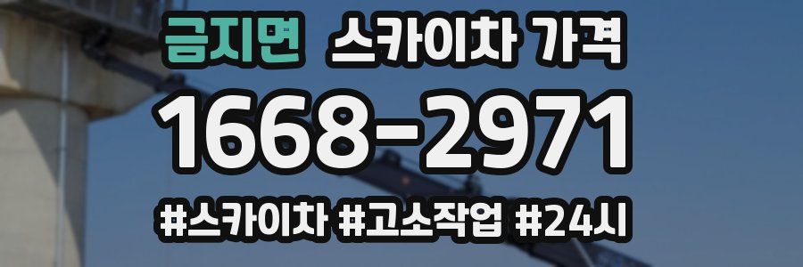 금지면 스카이차 가격