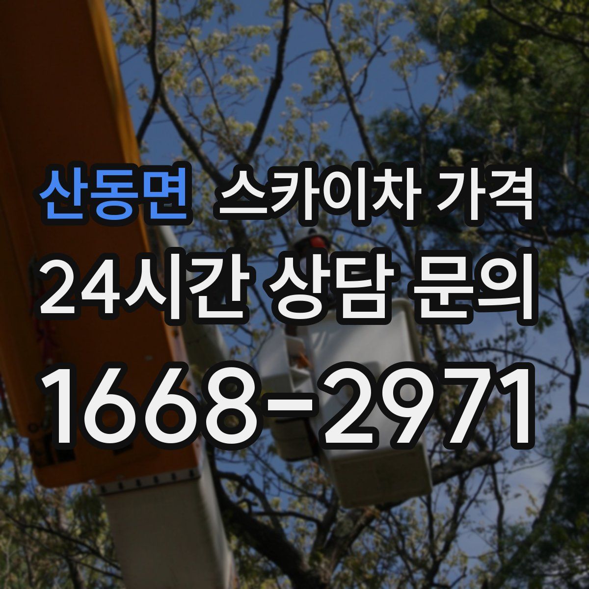 산동면 스카이차 가격