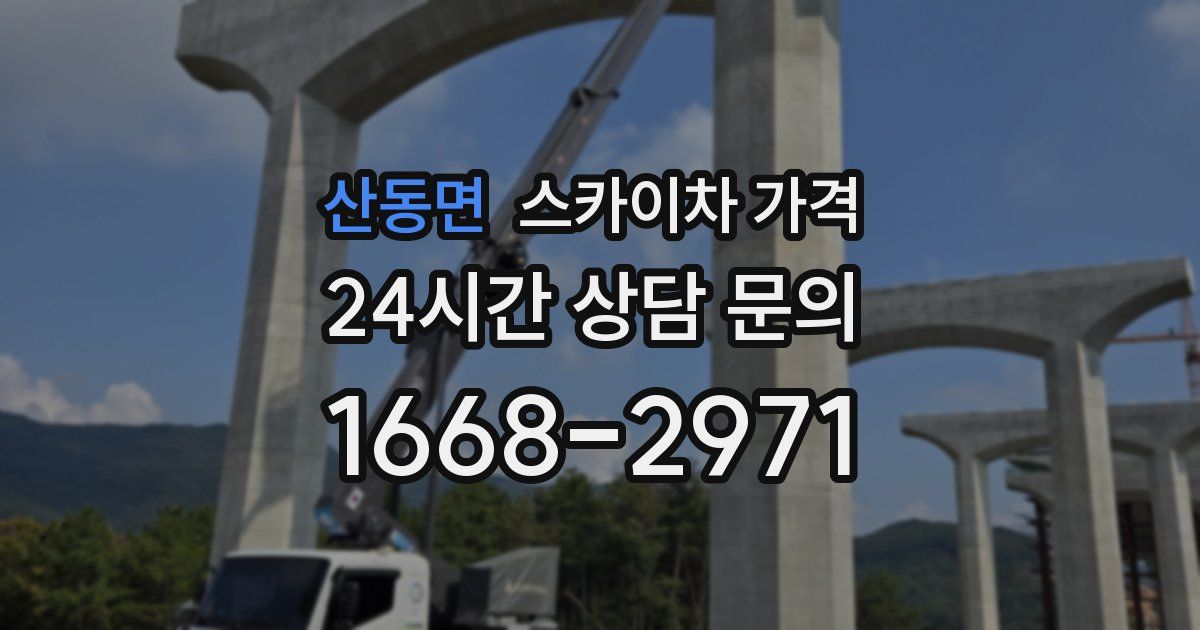 산동면 스카이차 가격