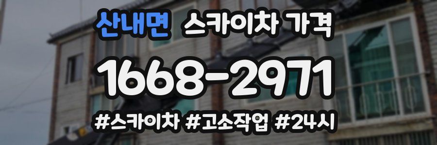 산내면 스카이차 가격