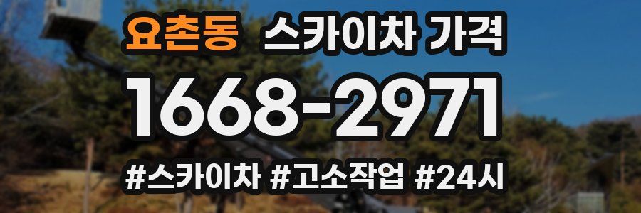 요촌동 스카이차 가격