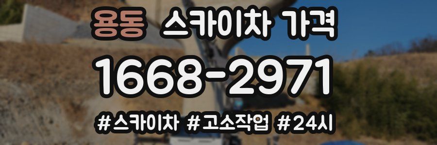 용동 스카이차 가격