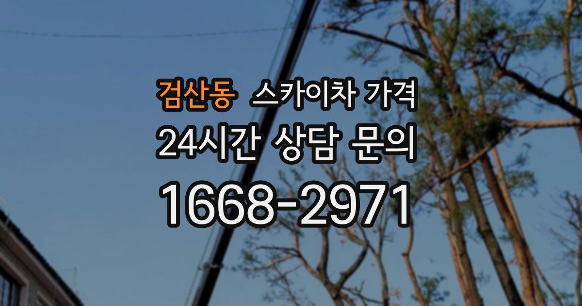 검산동 스카이차 가격