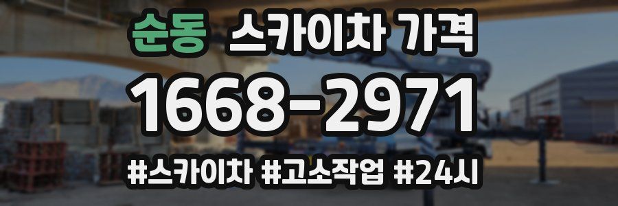 순동 스카이차 가격