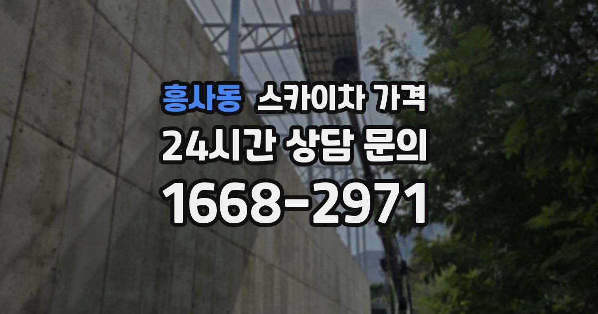 흥사동 스카이차 가격