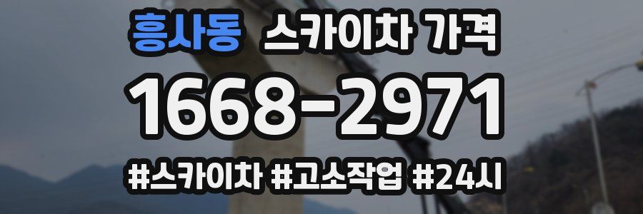 흥사동 스카이차 가격