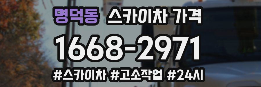 명덕동 스카이차 가격