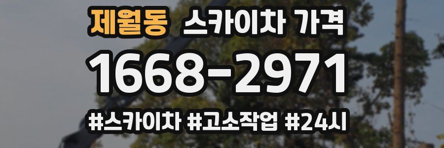 제월동 스카이차 가격