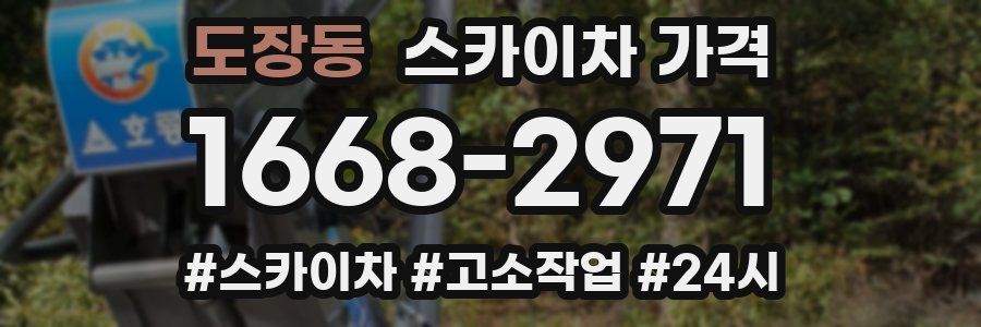 도장동 스카이차 가격