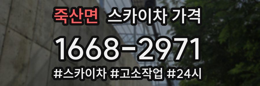 죽산면 스카이차 가격