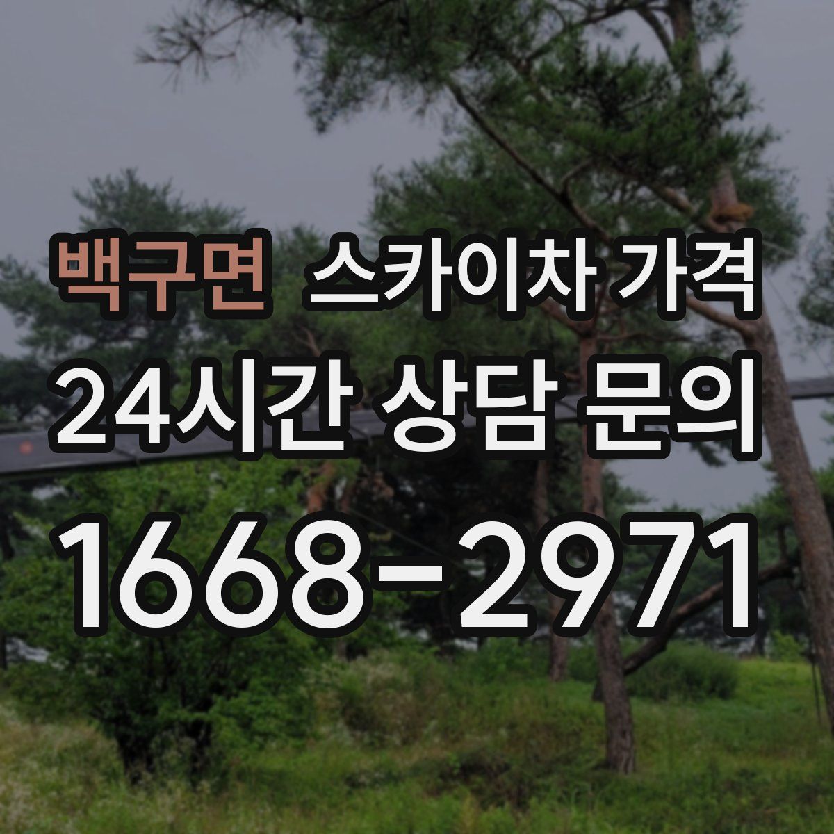 백구면 스카이차 가격