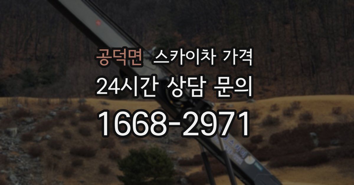 공덕면 스카이차 가격