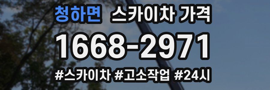 청하면 스카이차 가격