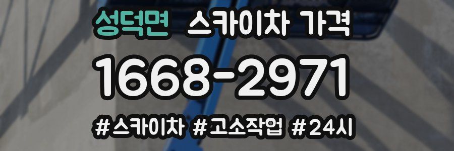 성덕면 스카이차 가격