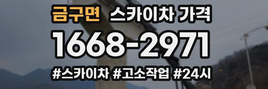 금구면 스카이차 가격