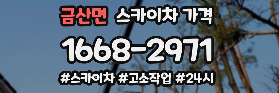 금산면 스카이차 가격