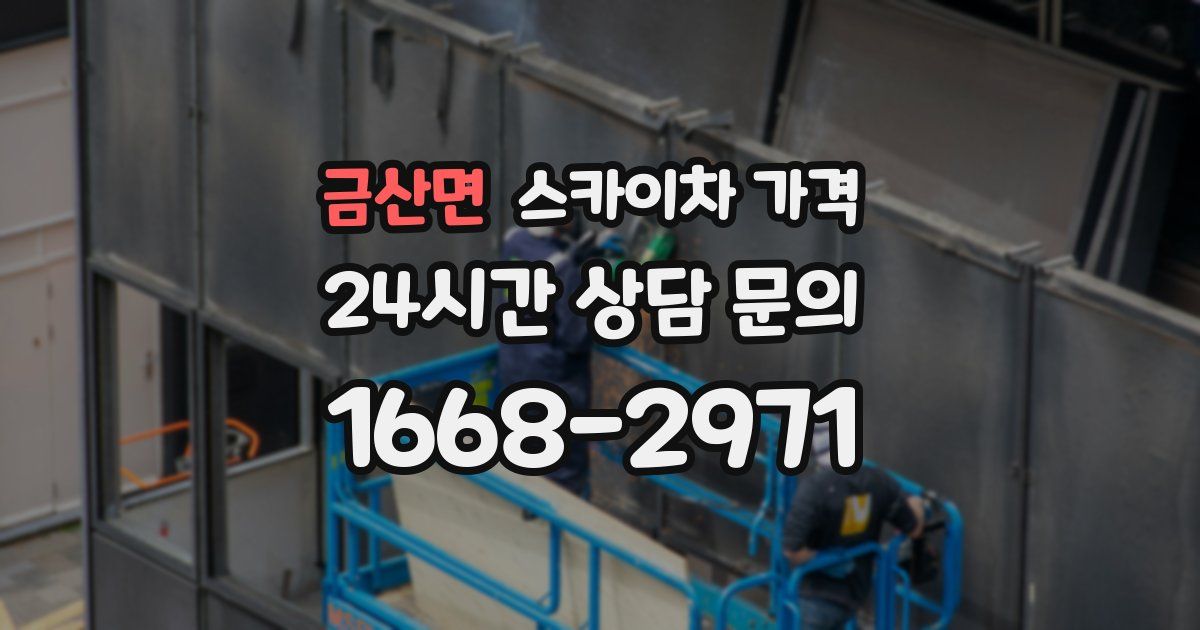 금산면 스카이차 가격