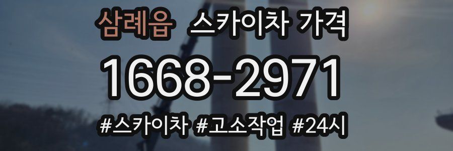 삼례읍 스카이차 가격