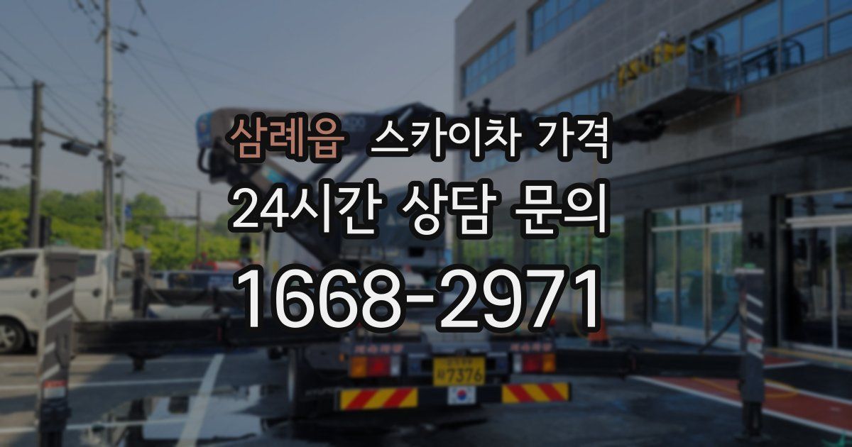 삼례읍 스카이차 가격