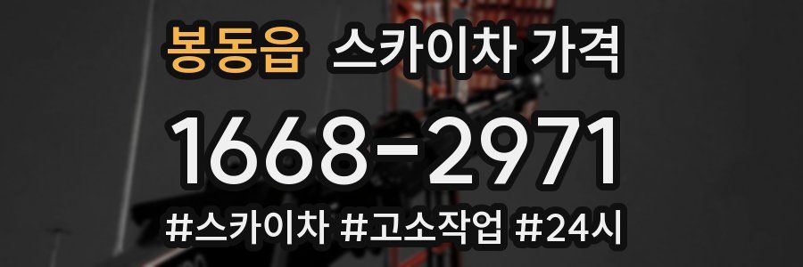 봉동읍 스카이차 가격