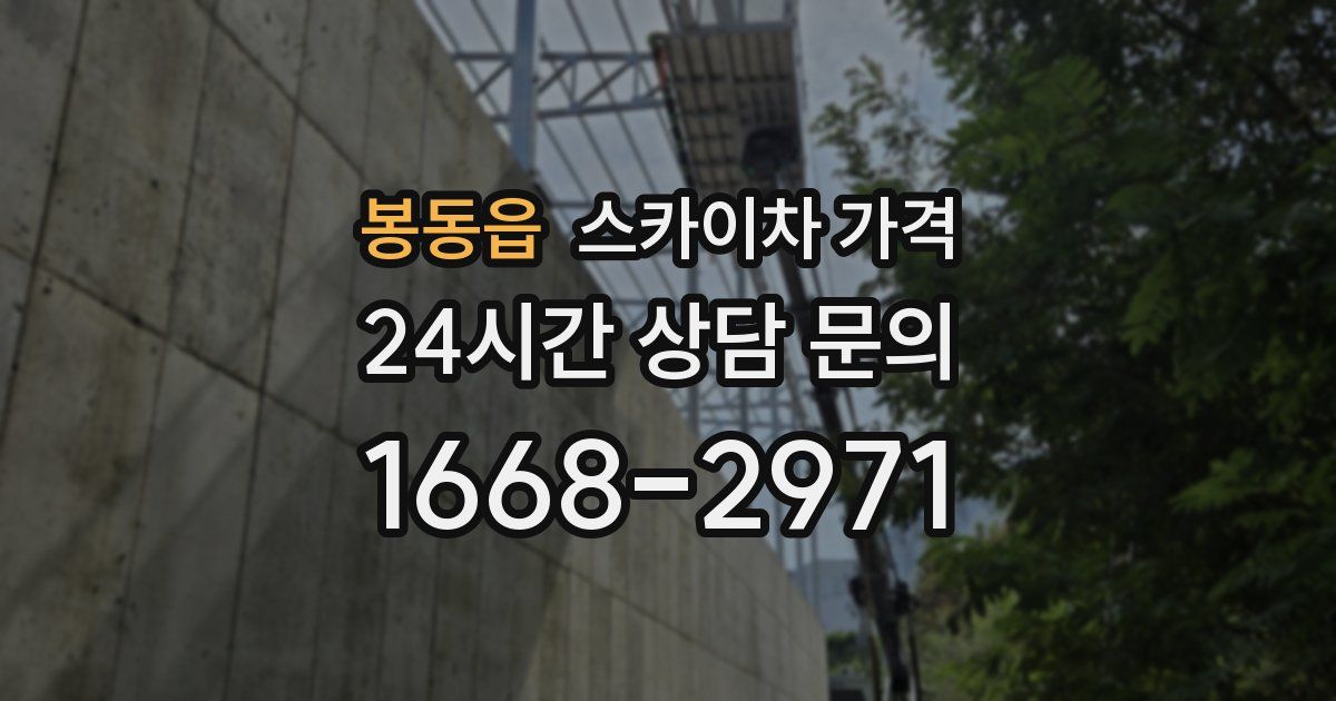 봉동읍 스카이차 가격