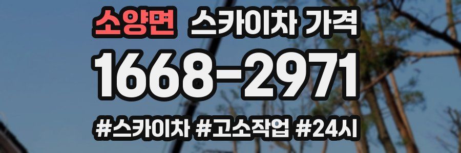 소양면 스카이차 가격