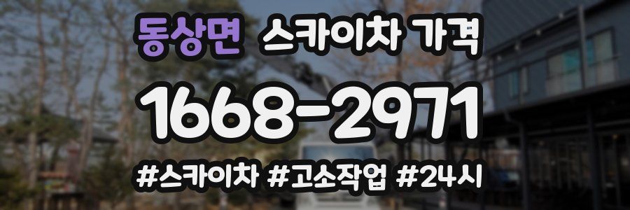 동상면 스카이차 가격