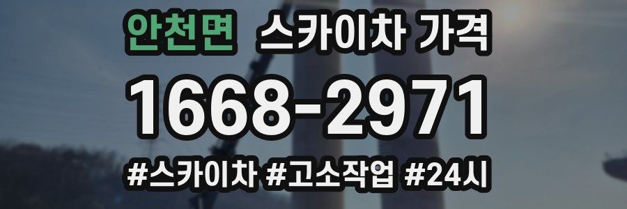 안천면 스카이차 가격