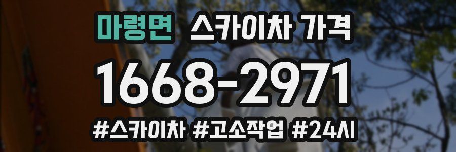 마령면 스카이차 가격