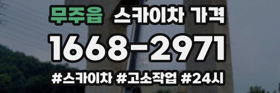 무주읍 스카이차 가격