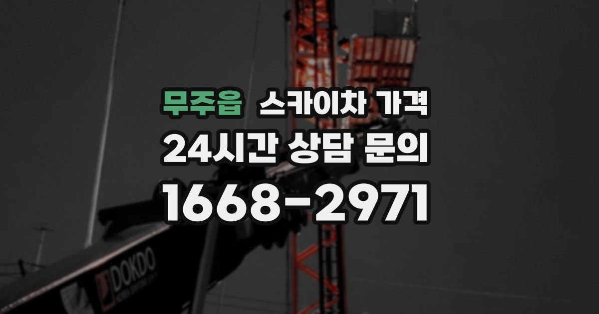 무주읍 스카이차 가격