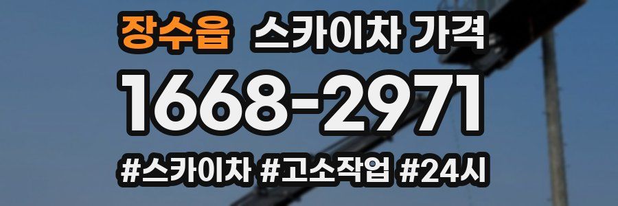 장수읍 스카이차 가격