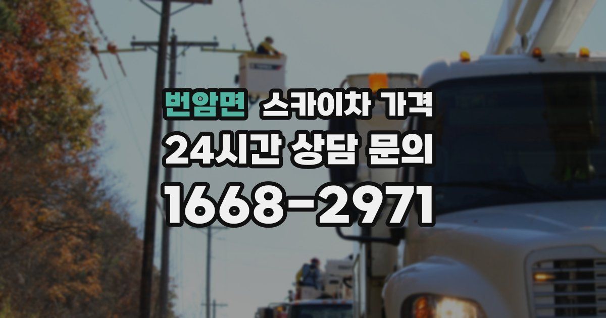 번암면 스카이차 가격