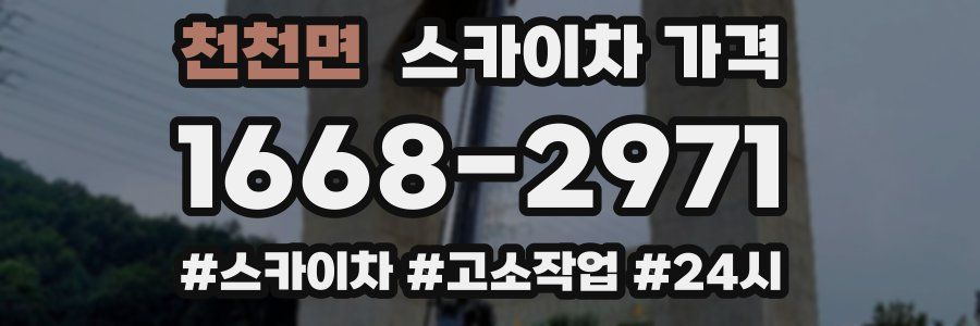 천천면 스카이차 가격