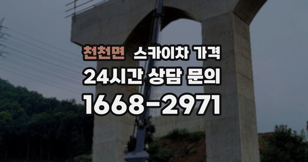 천천면 스카이차 가격
