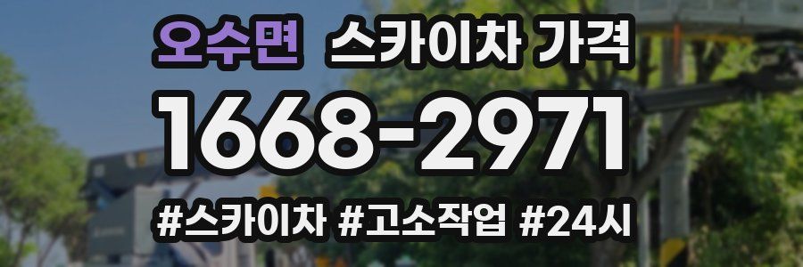 오수면 스카이차 가격