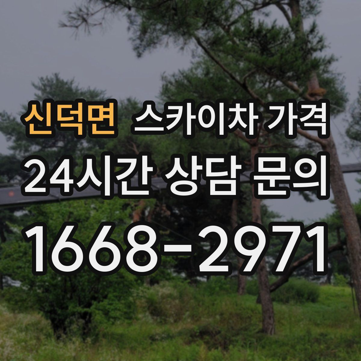 신덕면 스카이차 가격