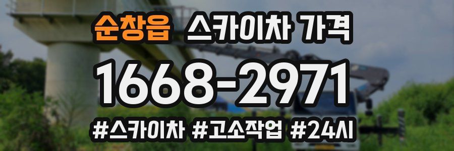 순창읍 스카이차 가격