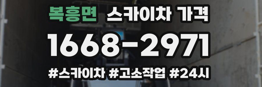 복흥면 스카이차 가격