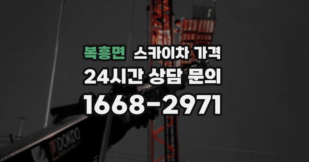 복흥면 스카이차 가격