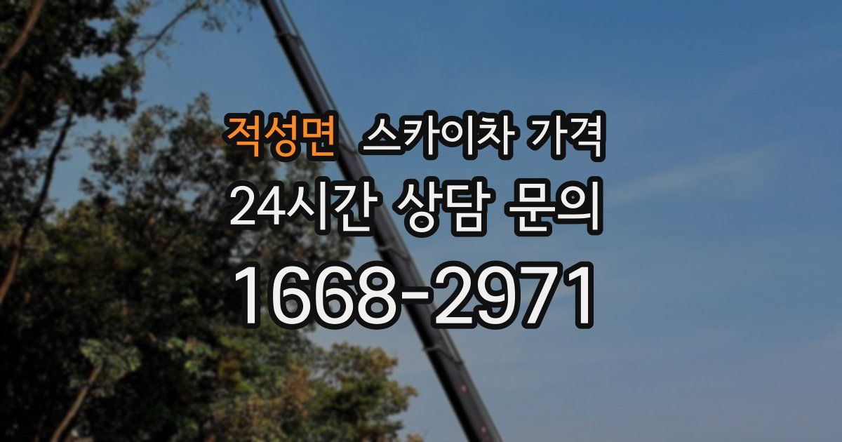 적성면 스카이차 가격