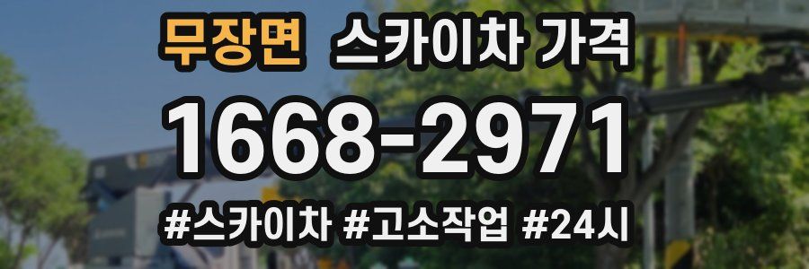 무장면 스카이차 가격