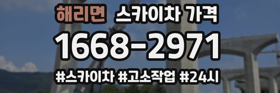 해리면 스카이차 가격