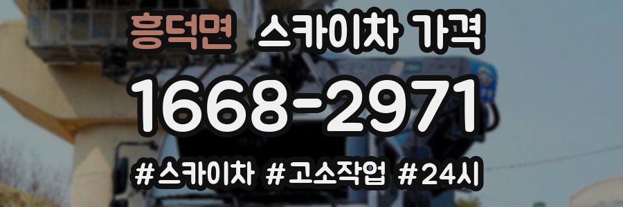 흥덕면 스카이차 가격