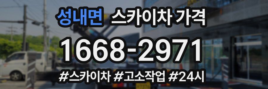 성내면 스카이차 가격
