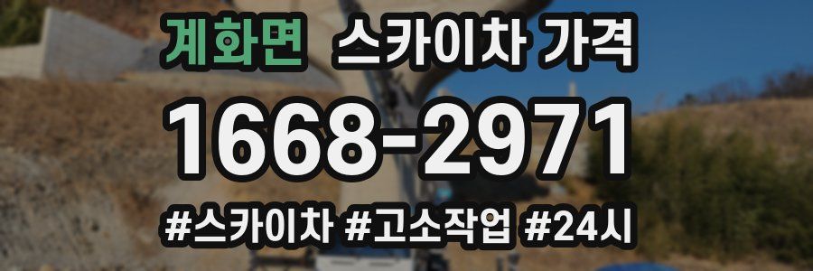 계화면 스카이차 가격