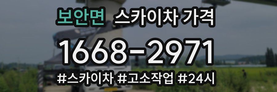 보안면 스카이차 가격